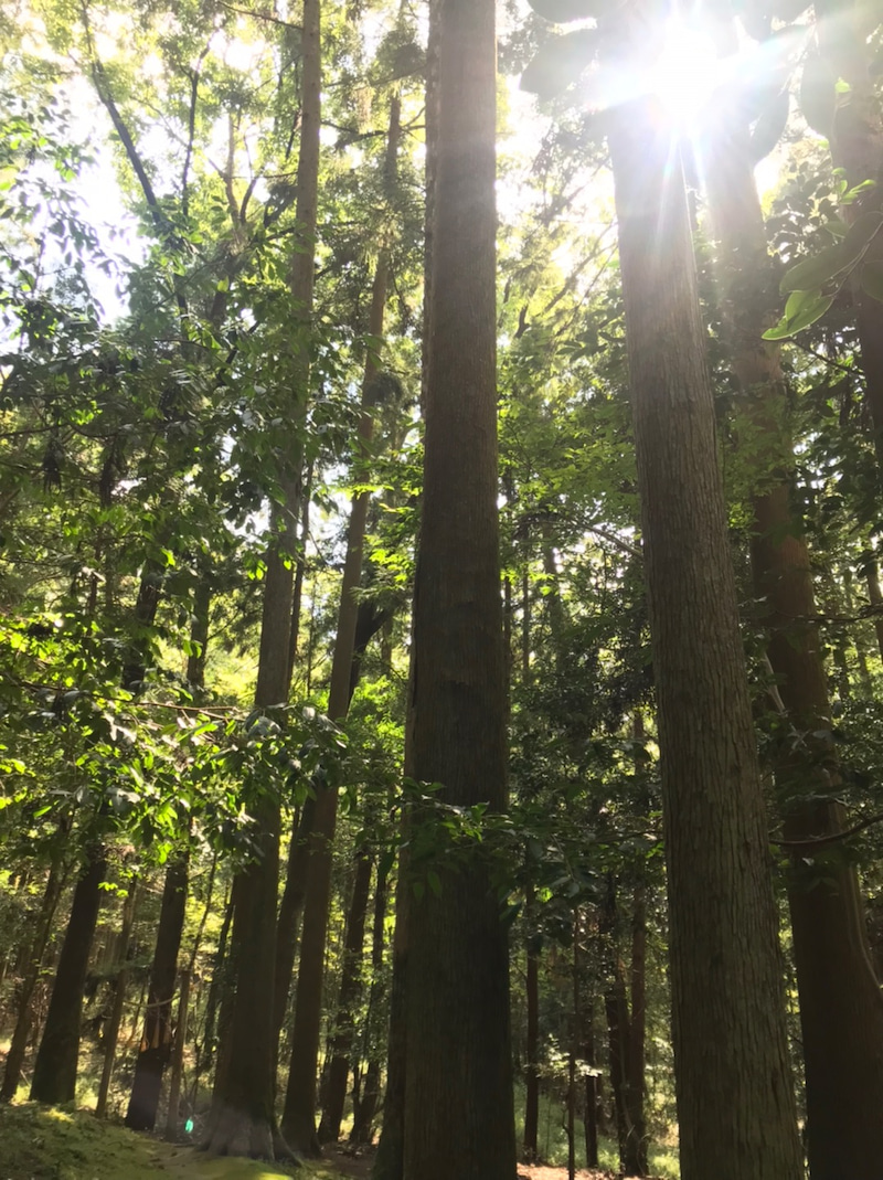 大神神社＆橿原神宮参拝