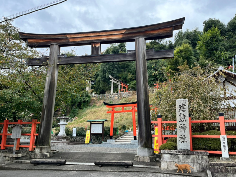 【神社セッション京都巡り編①】織田信長公をお祀りする建勲神社